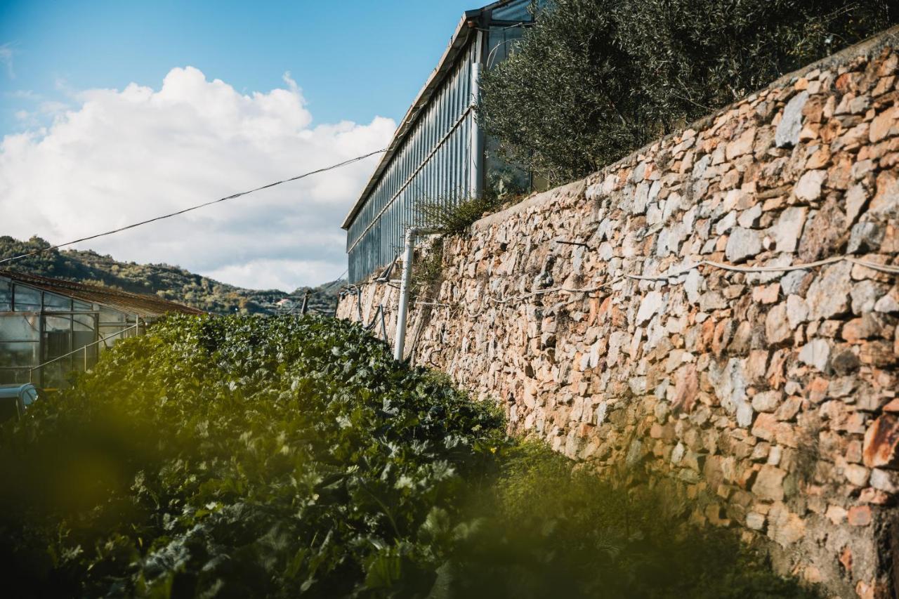Agriturismo Rose Di Pietra Pietra Ligure Exterior photo